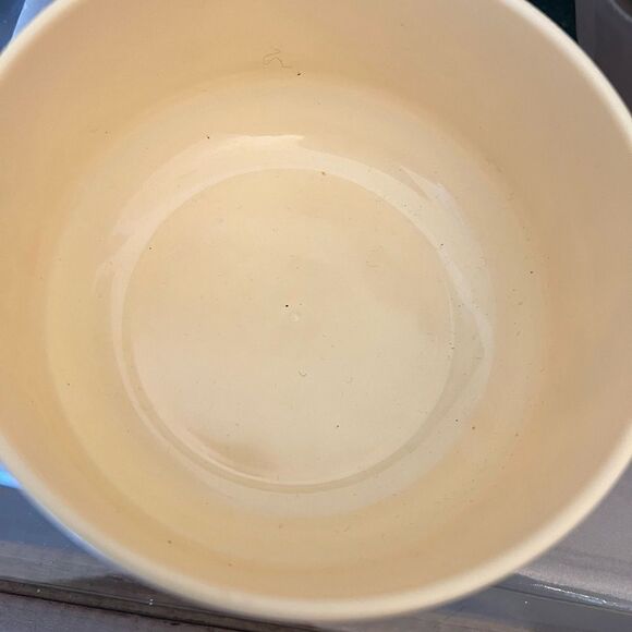 Vintage Walt Disney Productions plastic Bowl with Feet Mickey Donald Duck - Picture 7 of 7